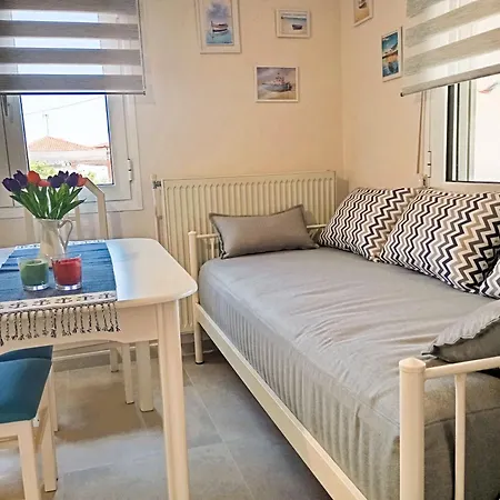 Appartement Oasis House *